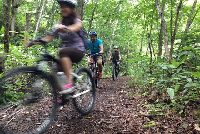 Mountain Bike Tour from Sapporo Including Hoheikyo Onsen and Lunch - Photo 1 of 19