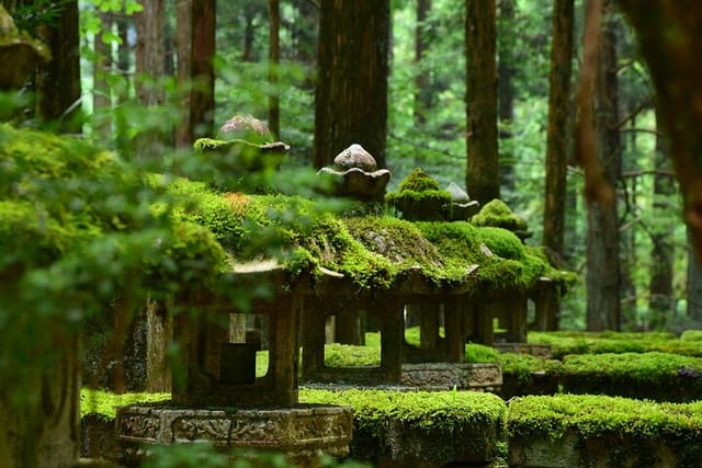 Mt. Koya 8hr Tour from Osaka: English speaking Driver, No Guide  - Photo 1 of 10