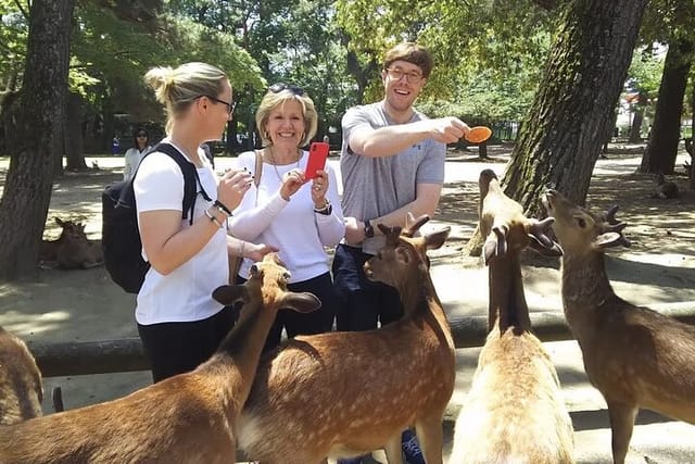 Nara Best Spots Private Tour With Licensed Guide (6h/8h) - Photo 1 of 6