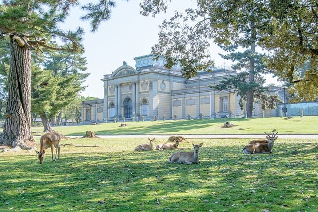 Nara Custom Full Day Tour - Photo 1 of 6