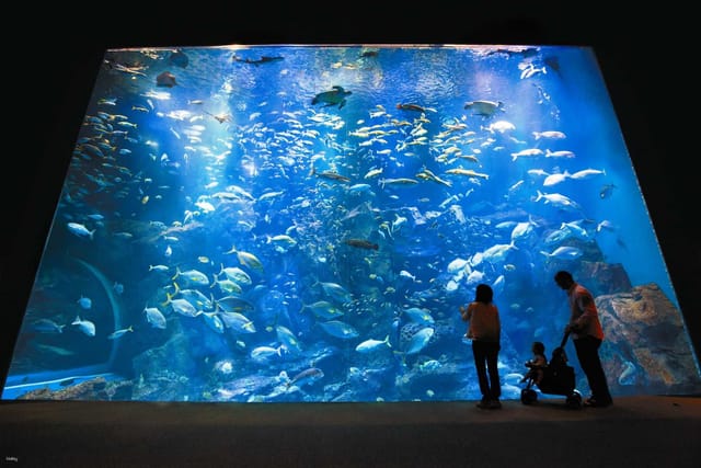 oga-aquarium-gao-admission-ticket-in-akita-japan_1