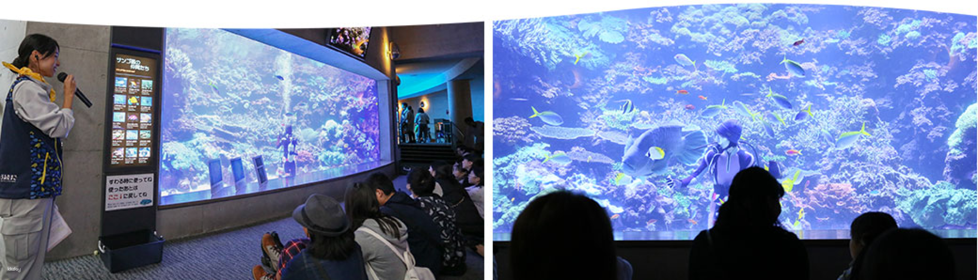 Oita, Japan｜Ocean Palace Aquarium Umi no Ota｜E-Ticket - Photo 1 of 2