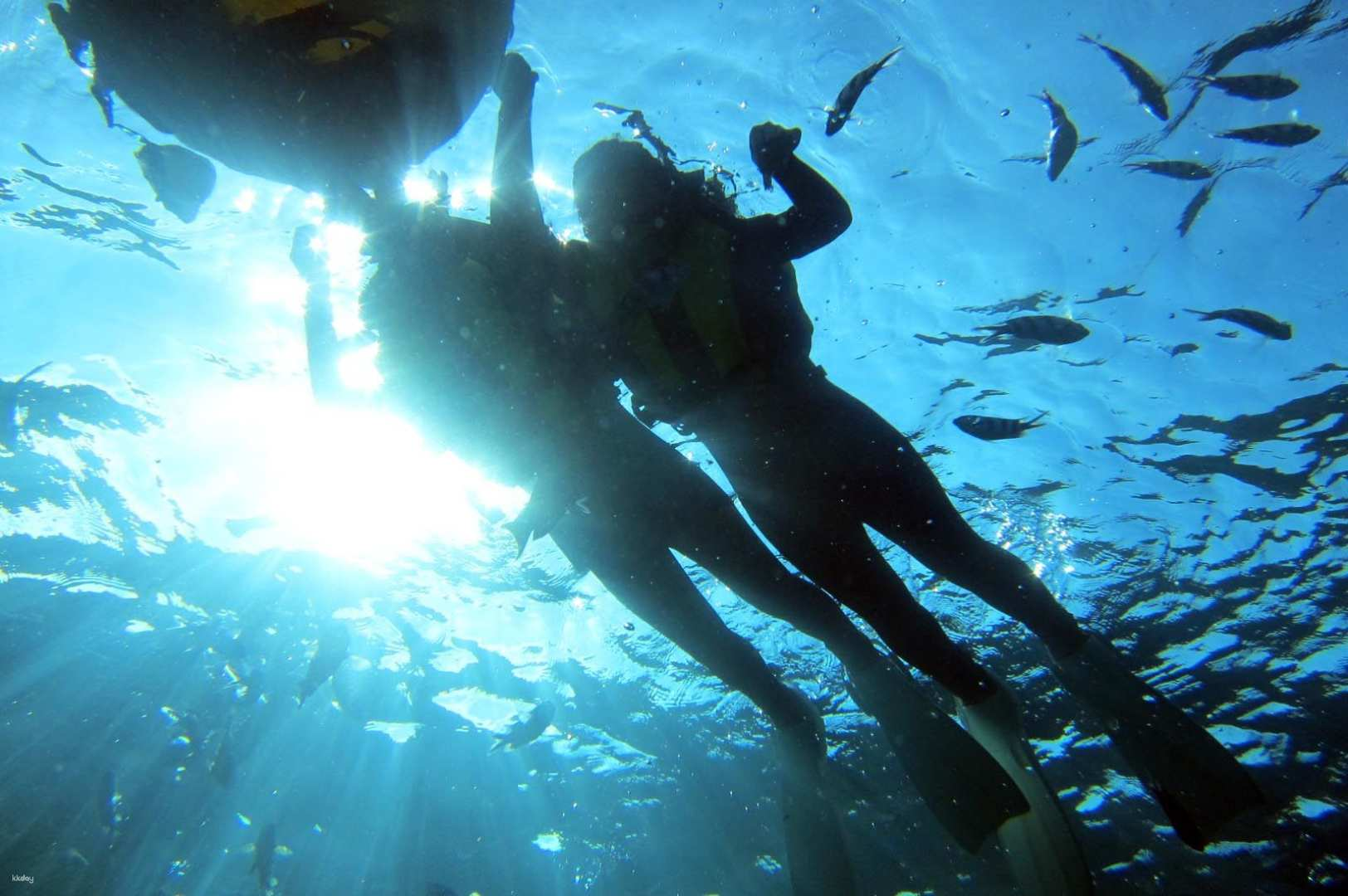 Okinawa Blue Cave Snorkeling & Fish Feeding - Photo 1 of 8