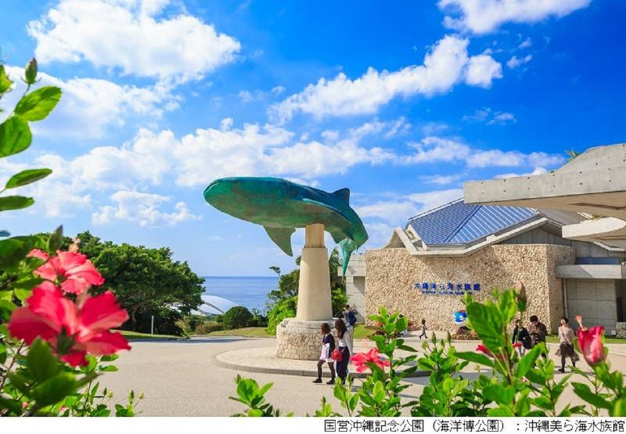 Churaumi TokuToku 5 Pass: Okinawa Churaumi Aquarium - Photo 1 of 16