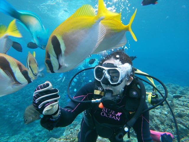 (Okinawa) Diving experience 【Seven Ocean's Club】 - Photo 1 of 9