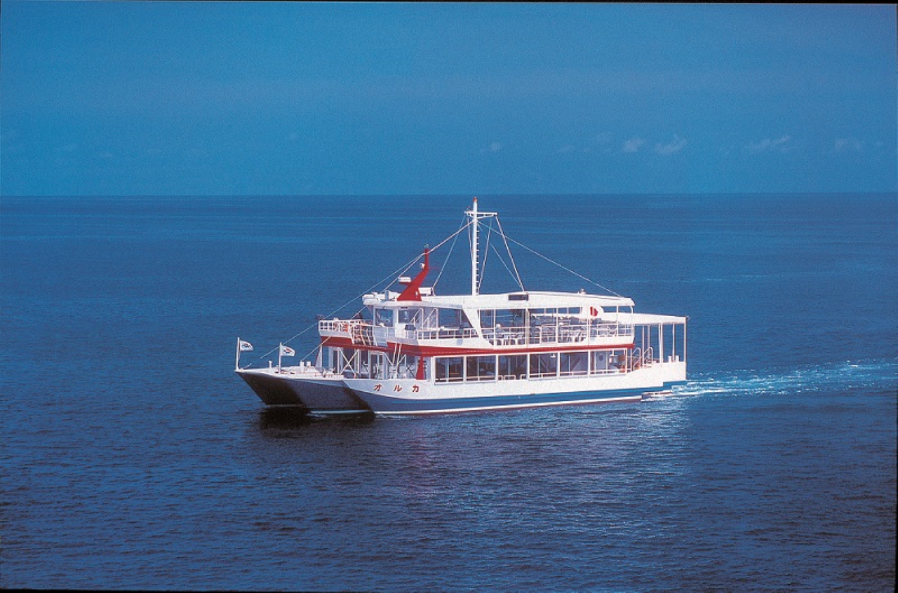 Glass Bottom Boat Tour Okinawa  - Photo 1 of 3