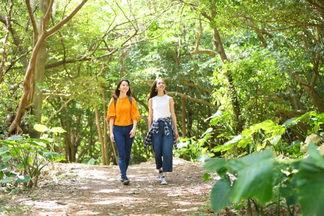 Okinawa, Japan｜Yambaru National Park Daisekirinzan｜Admission Ticket - Photo 1 of 3