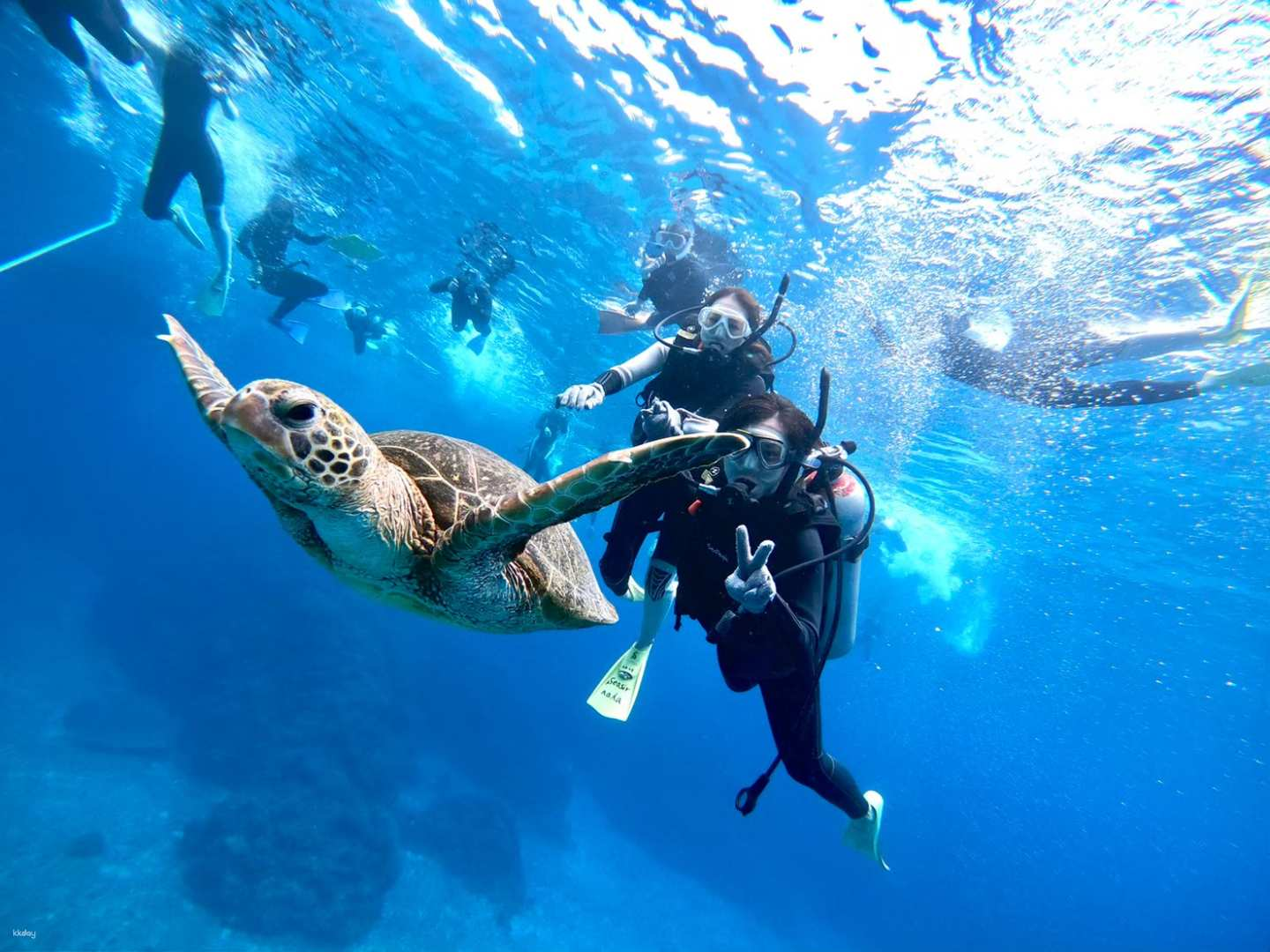 Okinawa Kerama Islands Diving Day Tour | Japan - Photo 1 of 10