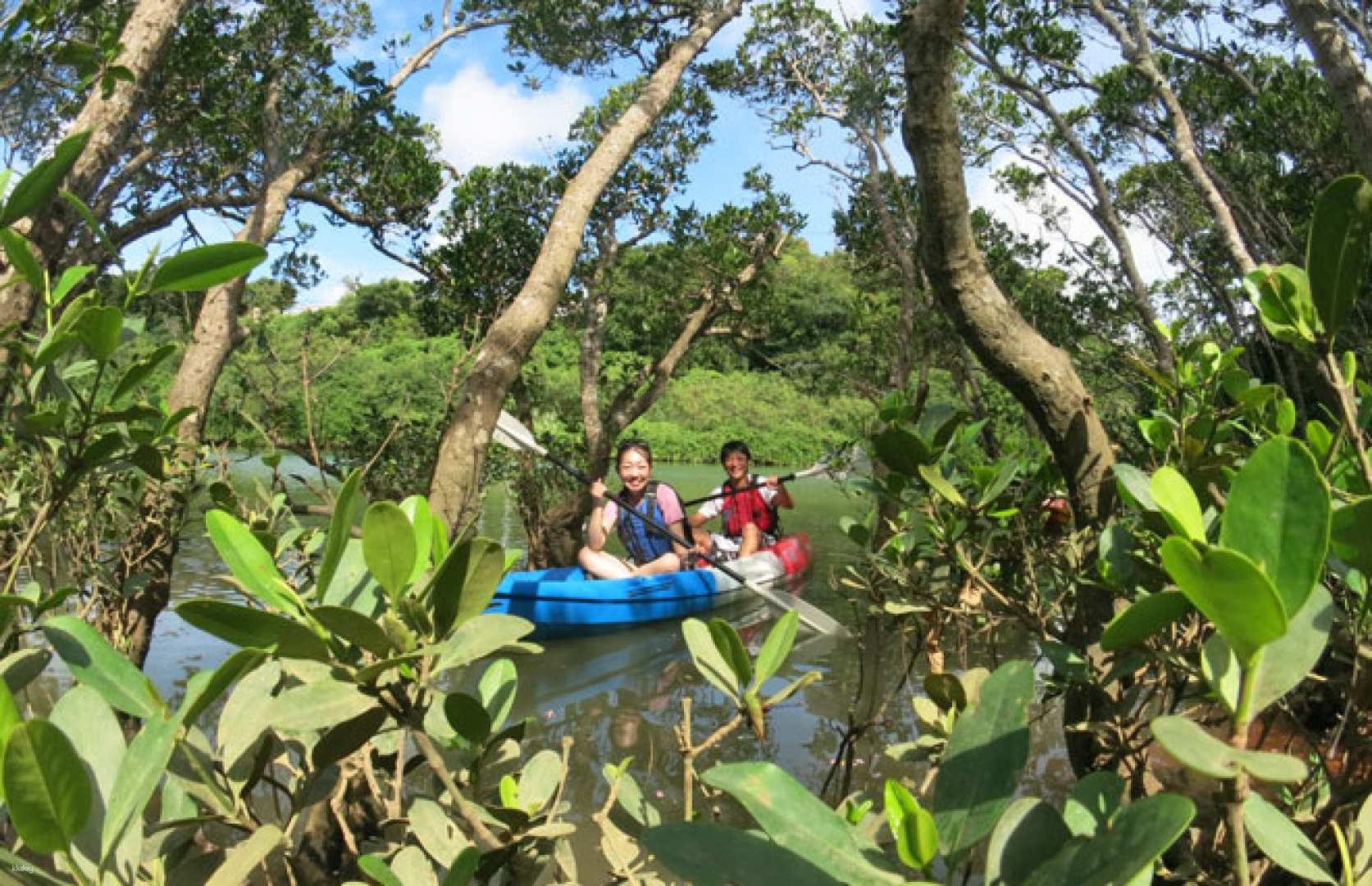 Okinawa | Mangrove Kayak & Easy Fishing - Photo 1 of 6