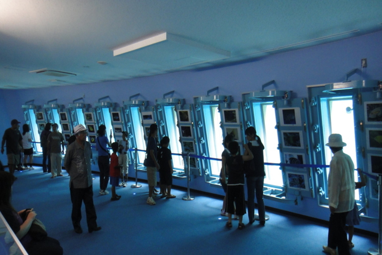 Okinawa Miyakojima Undersea Park Tickets - Photo 1 of 13