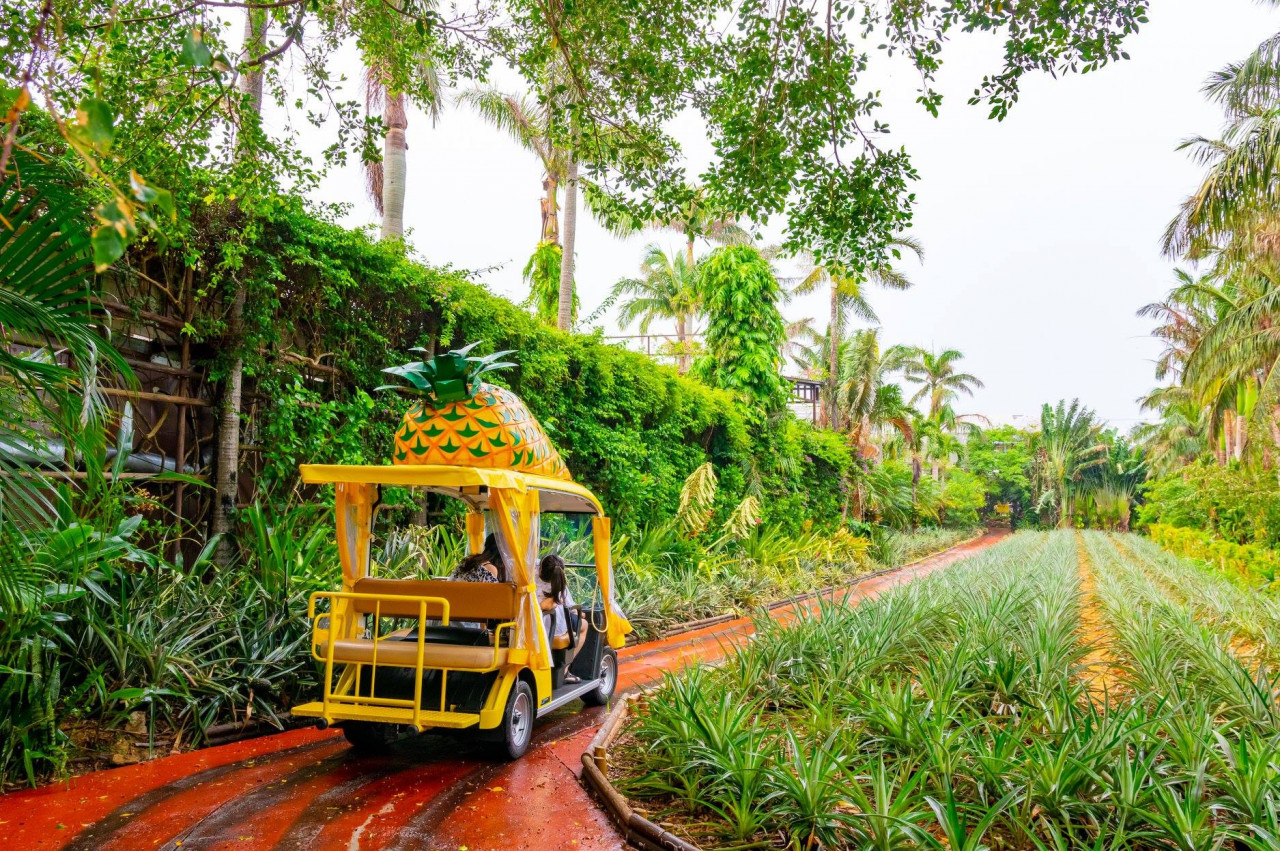 Okinawa Nago Pineapple Park - Photo 1 of 11