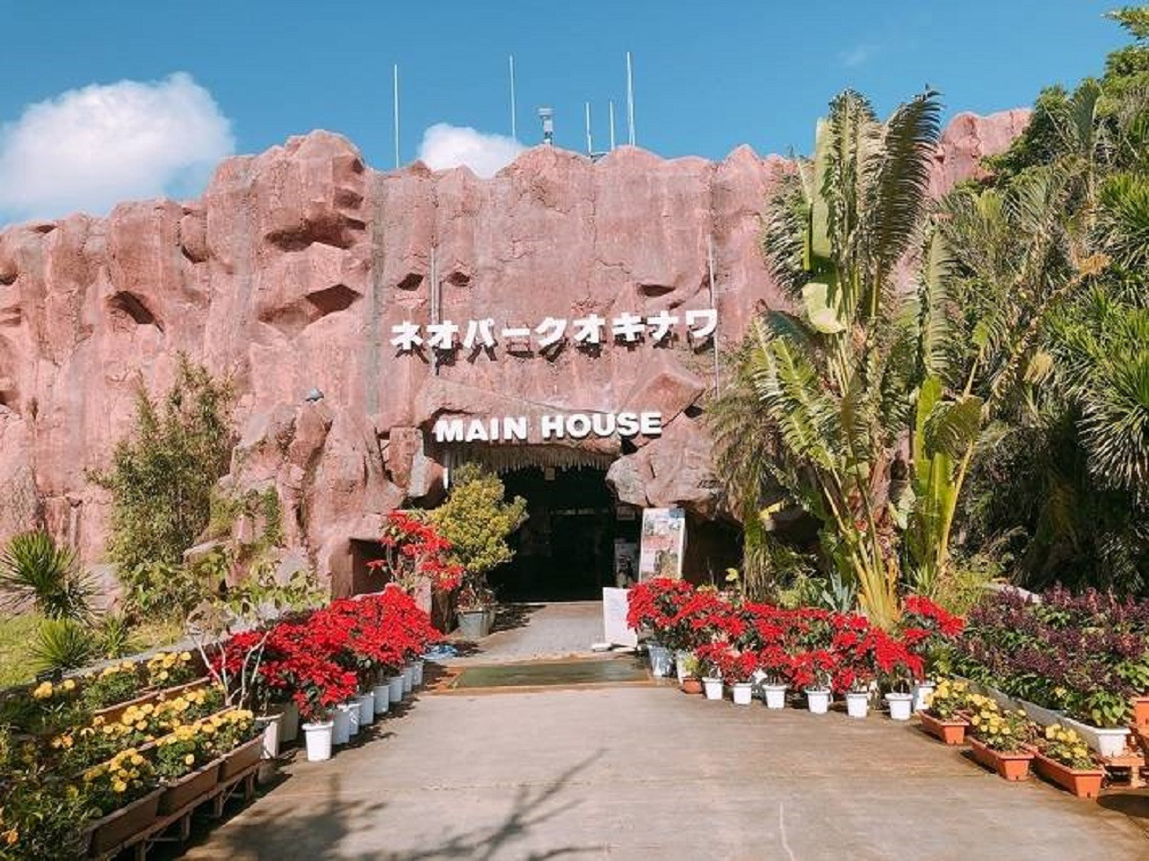 Okinawa Neo Park Entry Tickets in Okinawa | Pelago