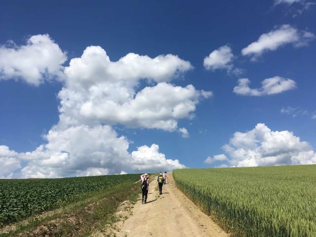 patchwork-hill-farm-footpath-biei-hokkaido_1