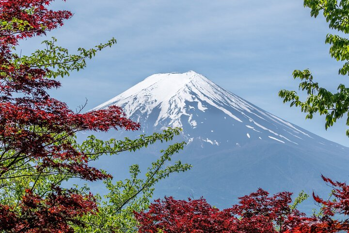 Private 7-Day Japan Classic Tour  - Photo 1 of 9