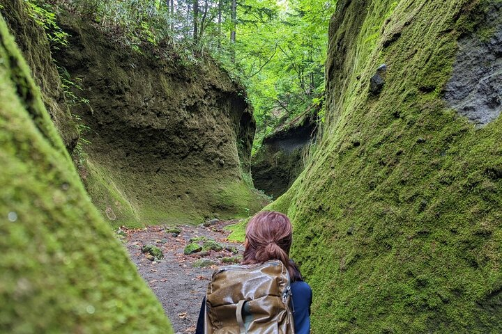 Private Day Trip of Lake Shikotsu and Moss Canyon - Photo 1 of 10