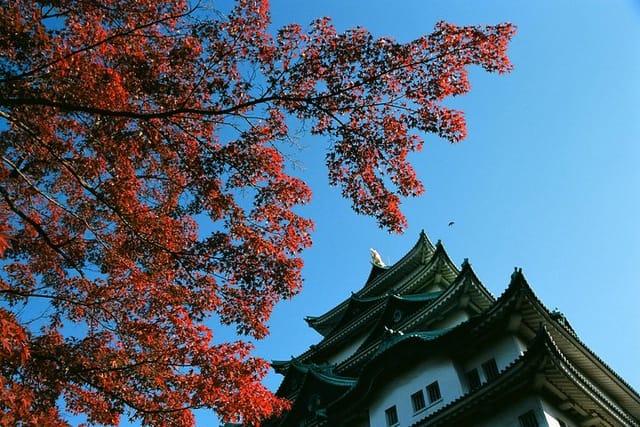 Nagoya castle