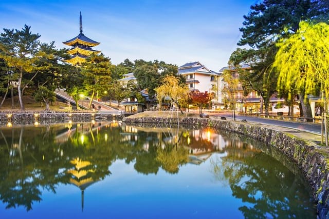 Private Journey in Nara’s Historical Wonder - Photo 1 of 7