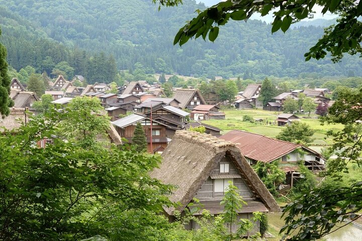 Private Tour From Takayama to Takayama and Shirakawago - Photo 1 of 12