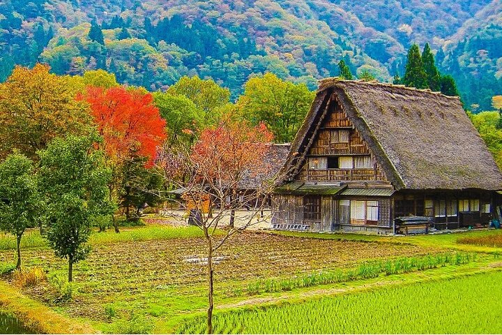 【Private Tour】Shirakawa-go & Takayama 1-day tour from Nagoya - Photo 1 of 9