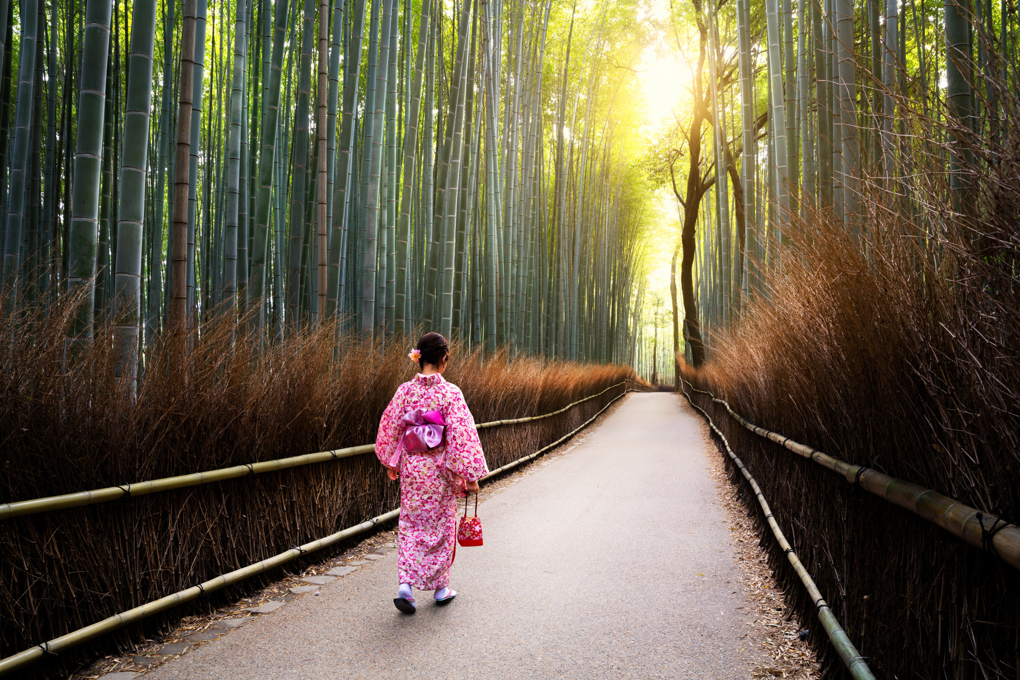 Professional Photo Shoot Experience in Kyoto - Photo 1 of 5