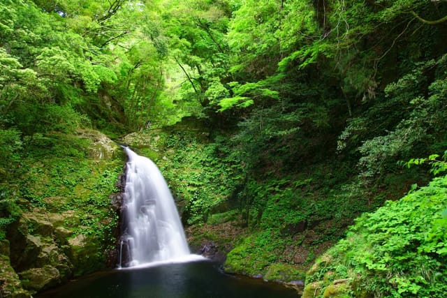 reservations-for-climbing-akame-48-waterfalls-and-entering-akame-waterfall-aquarium-nabari-city-mie-prefecture_1