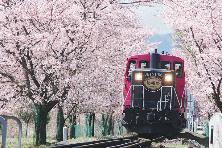 Sagano Romantic Train & Arashiyama, Kiyomizudera, Fushimi Inari Taisha Day Tour - Photo 1 of 18