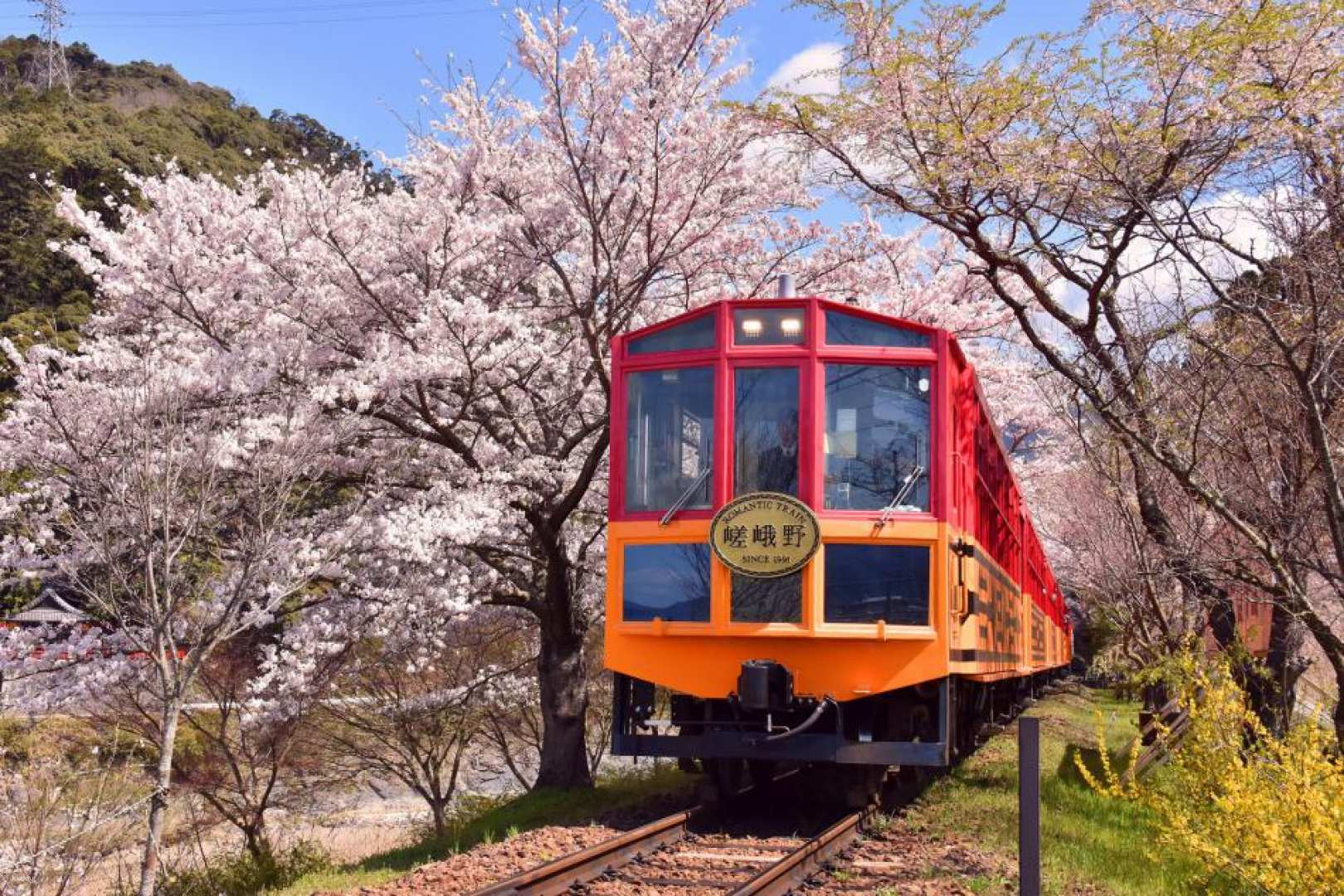 Sagano Romantic Train One-Way Ticket | Section: Saga - Kameoka - Photo 1 of 9