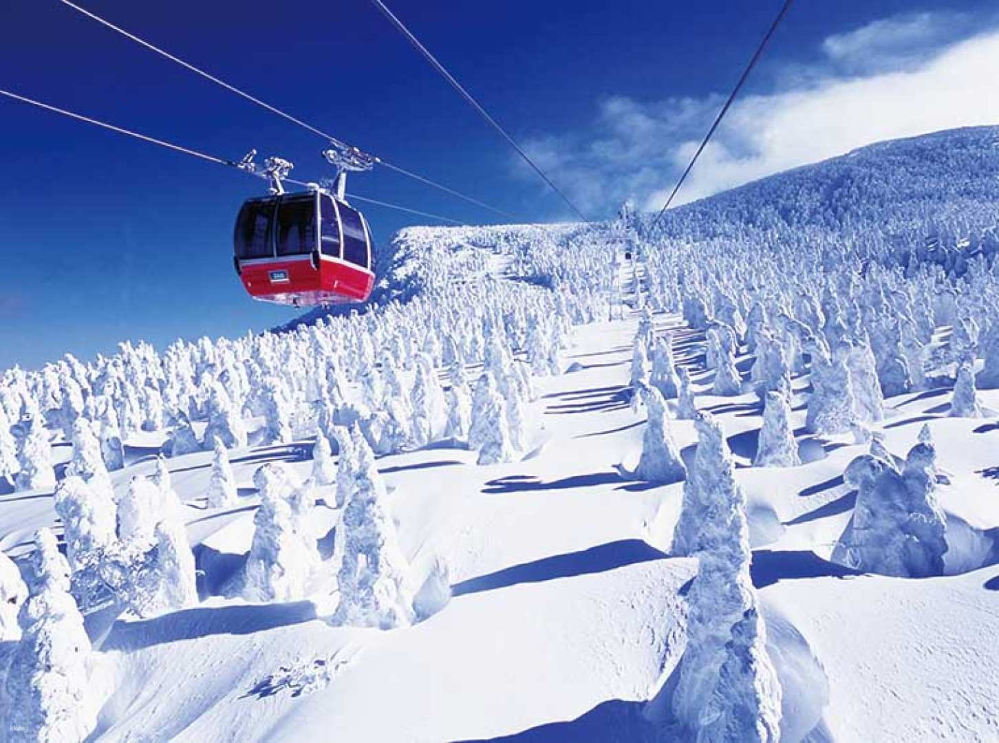 [Same Price Per Person Per Room] Ginzan Onsen and Zao Ropeway Snow Monster 2-Day Tour From Tokyo | Japan - Photo 1 of 5