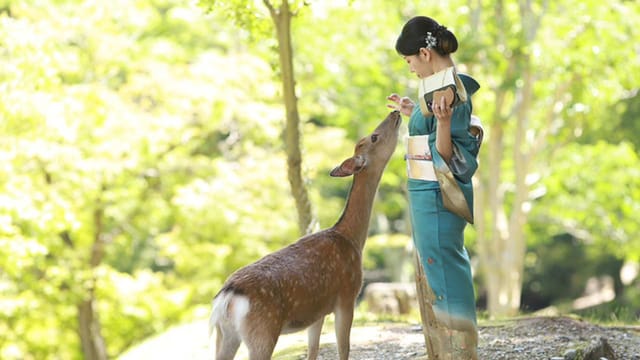 saori-kimono-in-nara-kimonoyukata-rental-near-nara-parkkasuga-taisha-shrinemt-wakakusa-japan_1