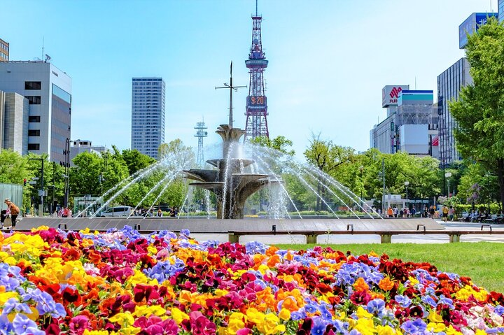 Sapporo Morning Walking Tour - Photo 1 of 9