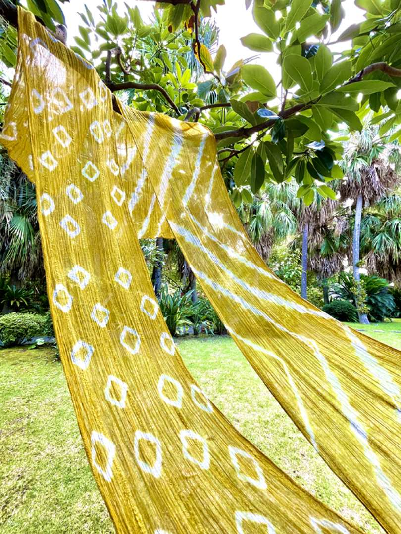 Scarf Plant Dyeing Workshop in Kagoshima - Photo 1 of 8