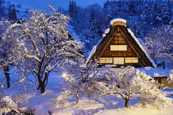 Shirakawago All Must-Sees Private Chauffeur Tour with a Driver (Takayama DEP.) - Photo 1 of 13