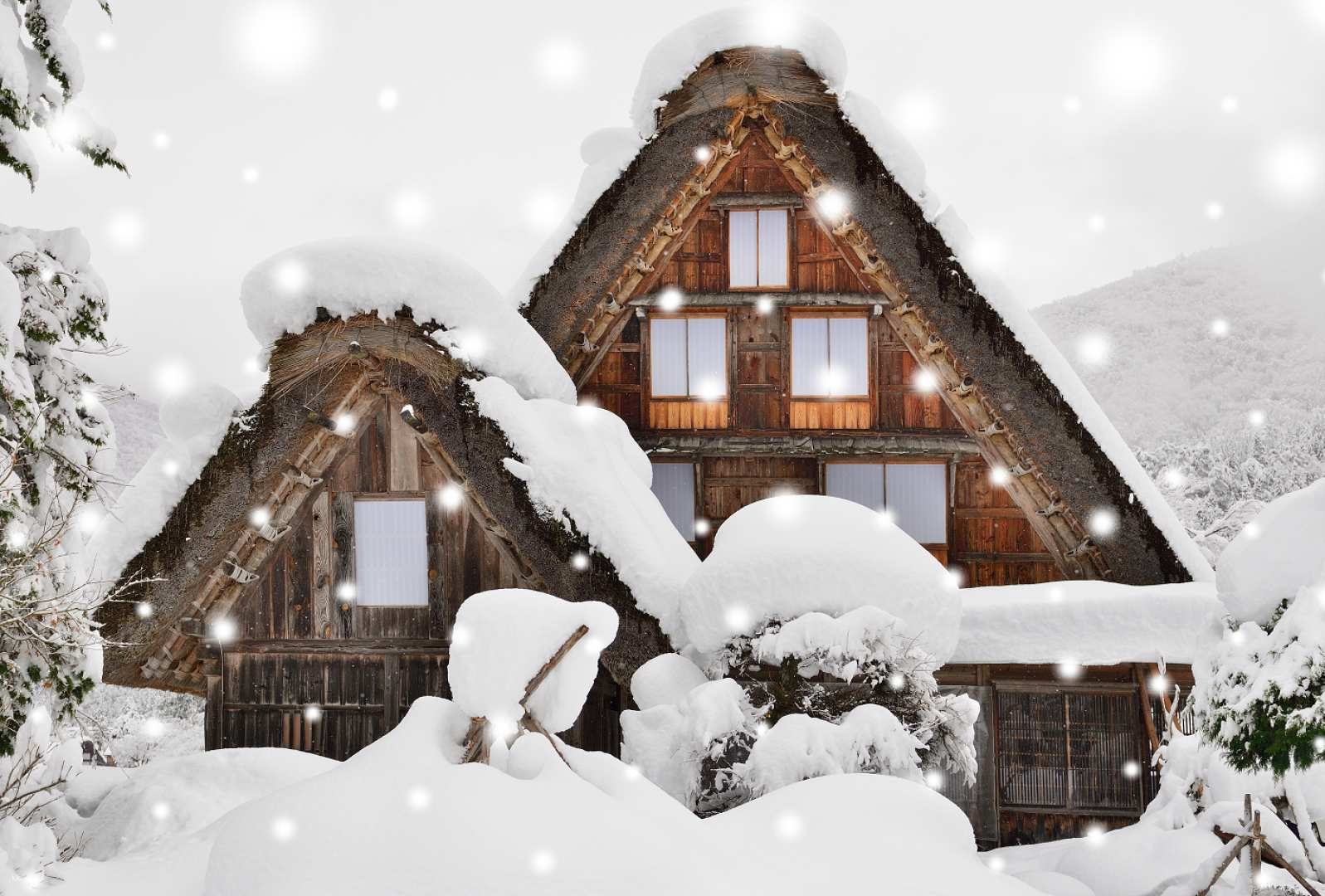 Shirakawago and Hida No Sato Winter Illumination 2D1N Bus Tour - Photo 1 of 21