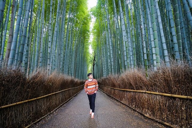 SnapKyoto Photo Shoot & Tour - Photo 1 of 22