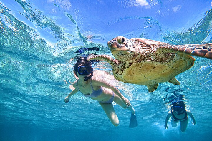  Snorkeling Activity in Miyako Japan - Photo 1 of 5