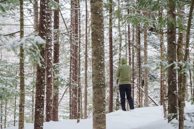 snowshoe-experience-biei-hokkaido_1