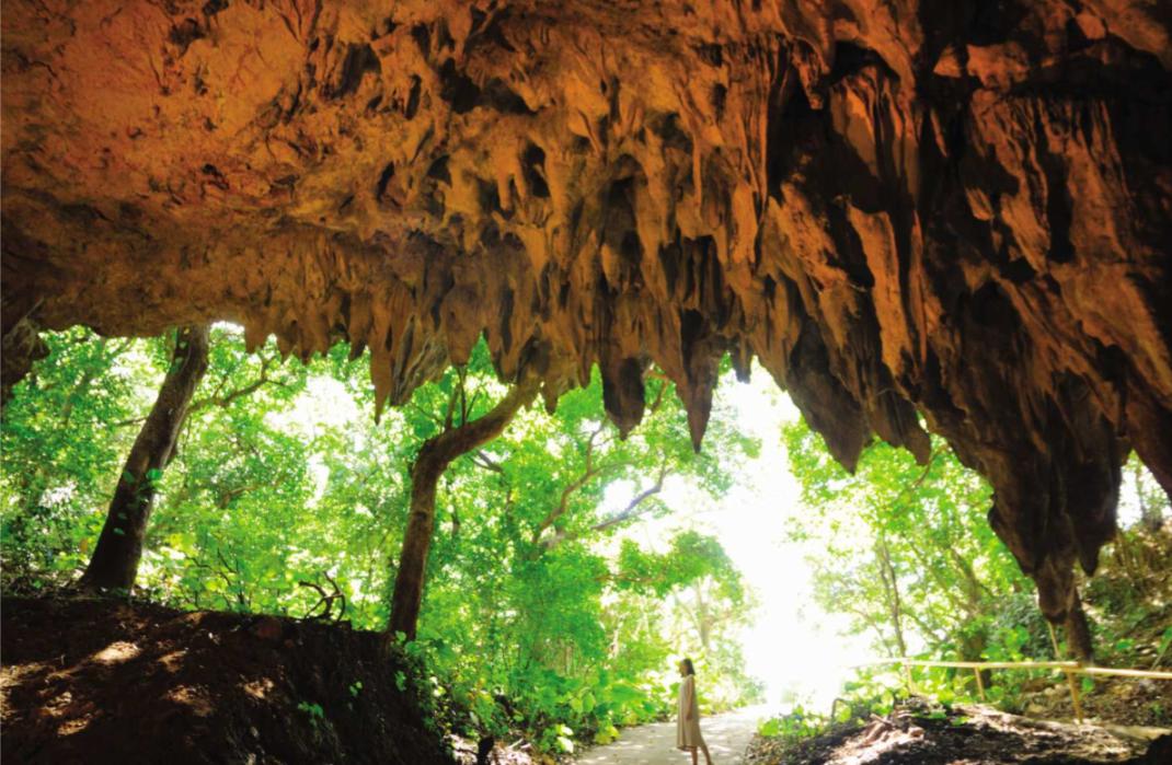 Southern Okinawa Sightseeing/Half-Day Bus Tour｜Valley of Gangala Course｜Naha Departure - Photo 1 of 4