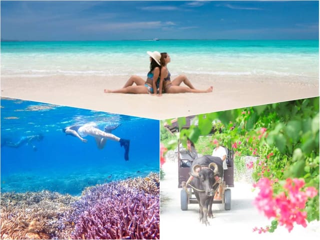 the-phantom-island-landing-snorkeling-taketomi-island-sightseeing-hotels-in-southern-area-pick-up-free-photo-data-included_1