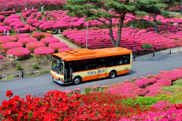 tokai-bus-free-ticket-ito-izukogen-2-day-pass-in-shizuoka-japan_1