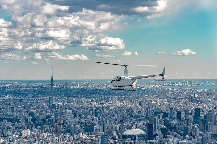 Tokyo Helicopter Cruising - Photo 1 of 8