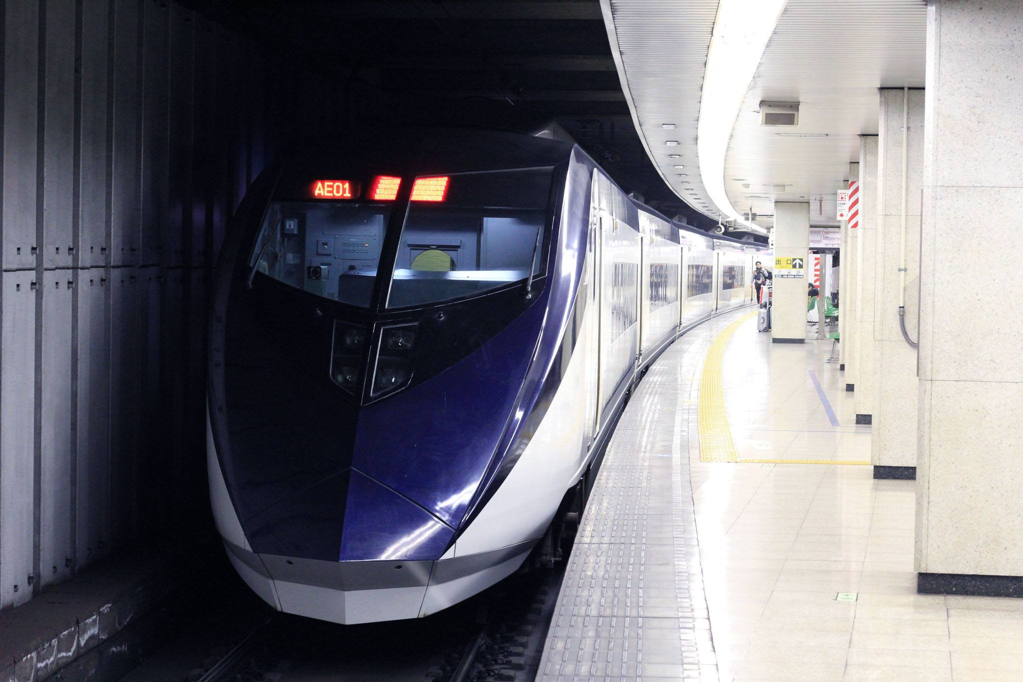 Tokyo Skyliner Fast Speed Train to/from Narita Airport - Photo 1 of 12