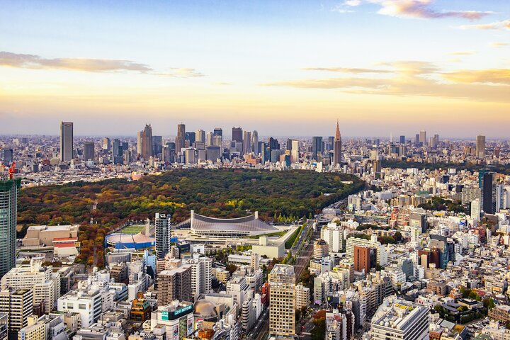 Tokyo Layover Tour with Licensed Guide & Vehicle: NRT Airport Dep - Photo 1 of 25