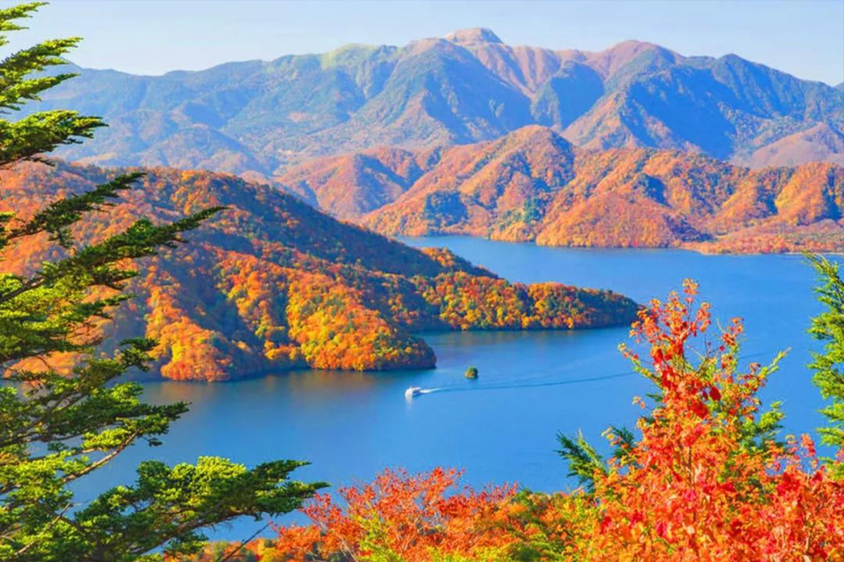 From Tokyo: Nikko UNESCO Shrine and Nature View Day Tour - Photo 1 of 12