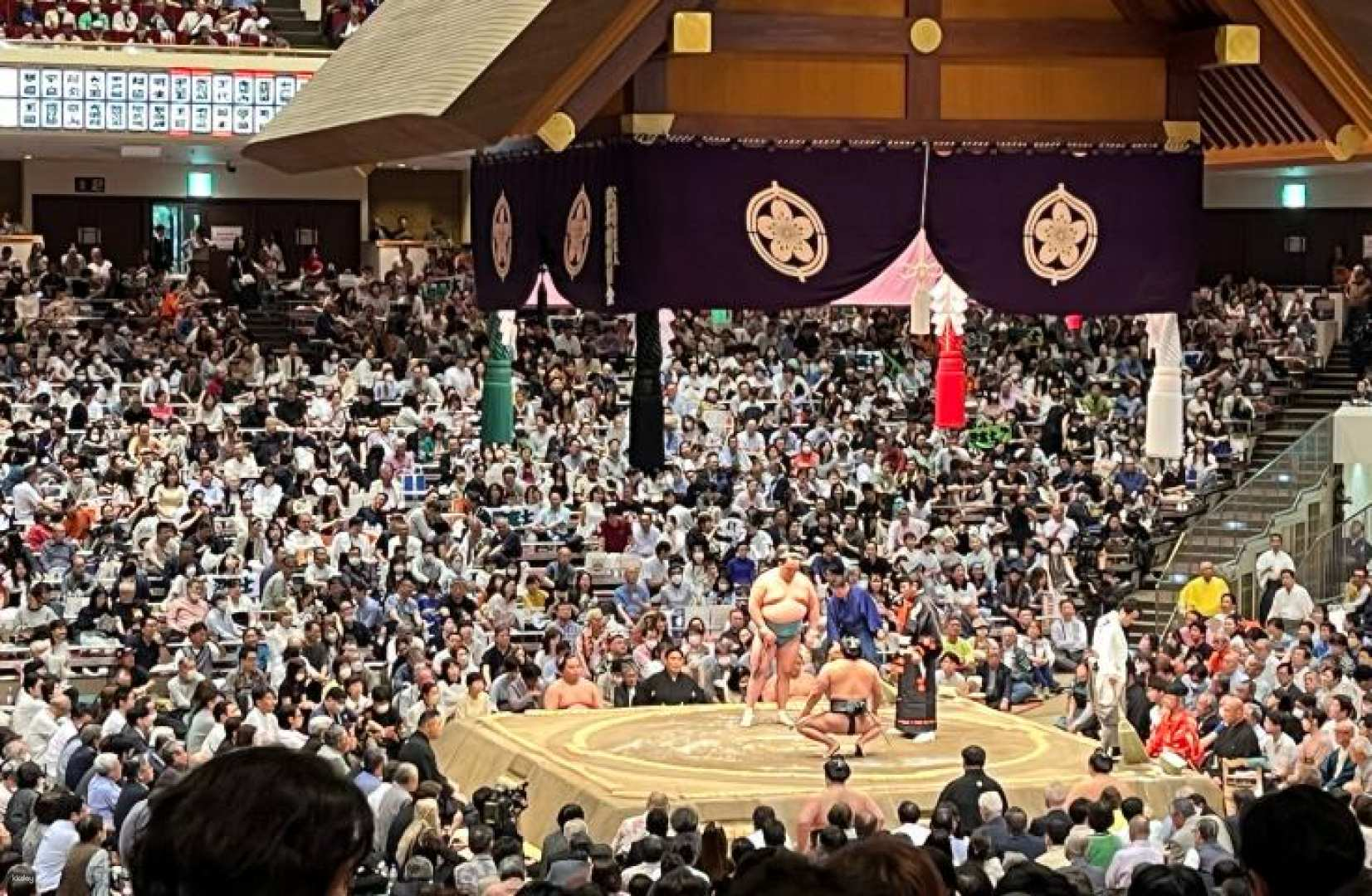 Tokyo September Grand Sumo Tickets・Chair Seats｜Comes With Souvenirs (Limited to 4 Seats Per Day) - Photo 1 of 7