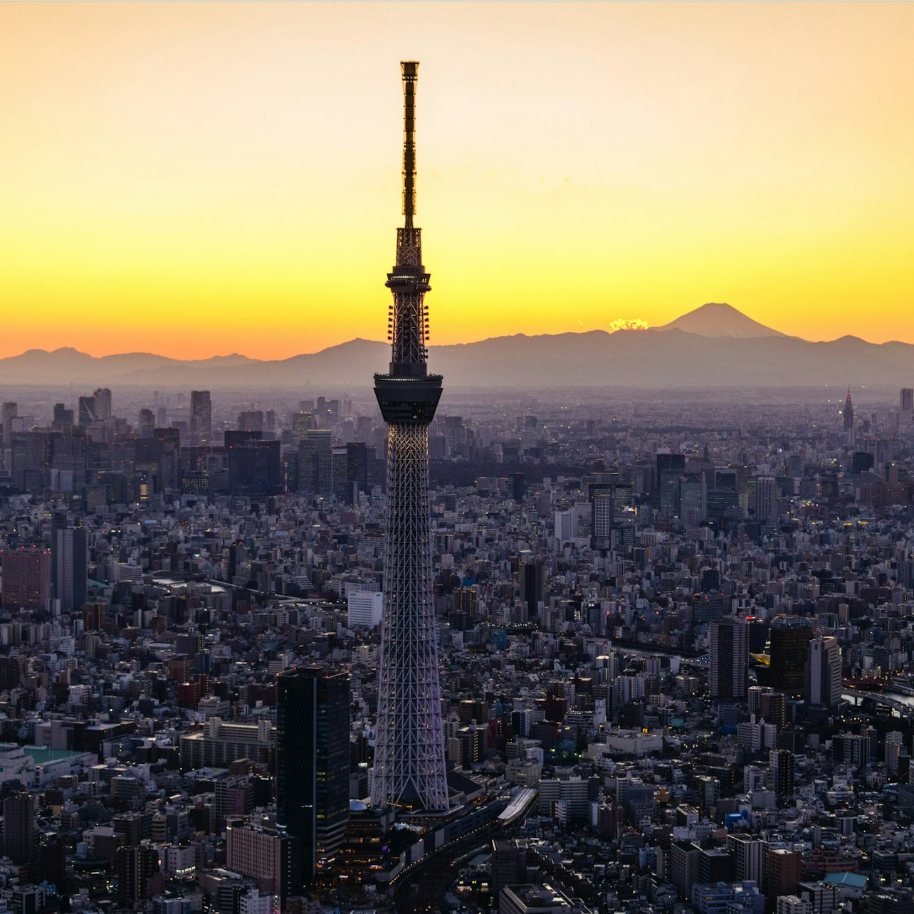 Tokyo Skytree & 24-Hour Tokyo Subway Ticket - Photo 1 of 4