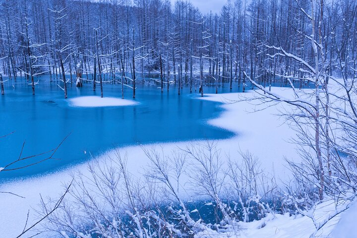  Visit Asahiyama Zoo, Fascinating Aoi-Ike and Shirohige Falls!  - Photo 1 of 10