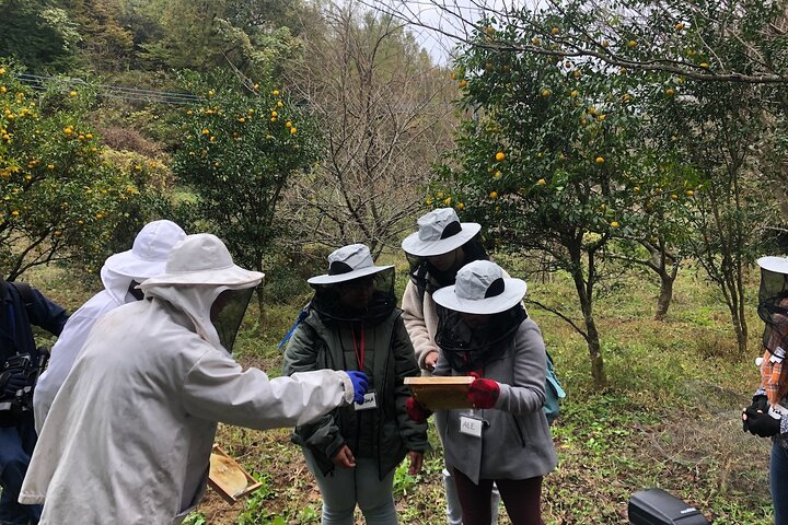 Visiting Beekeeper and Beeswax Craft Making in Bungoono City - Photo 1 of 3