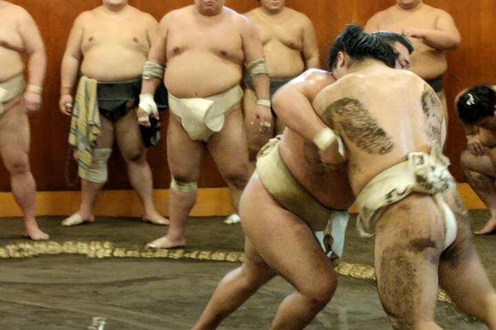 Watch Sumo training in Sumo stable - Photo 1 of 5