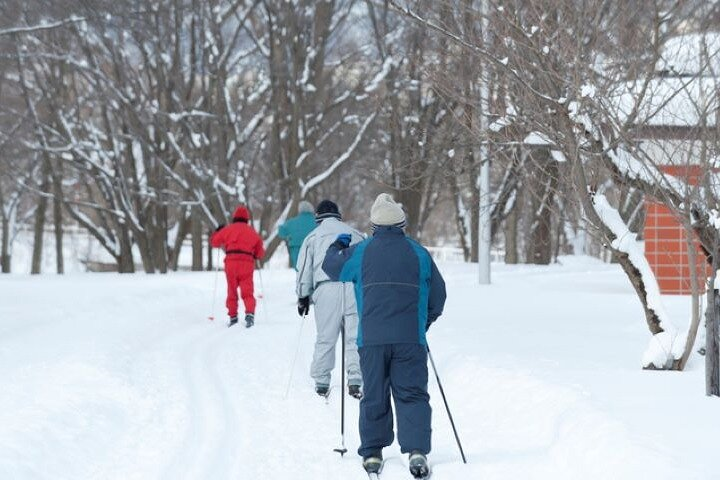 Winter Animal Watching Tour with cross-country skiing - Photo 1 of 3