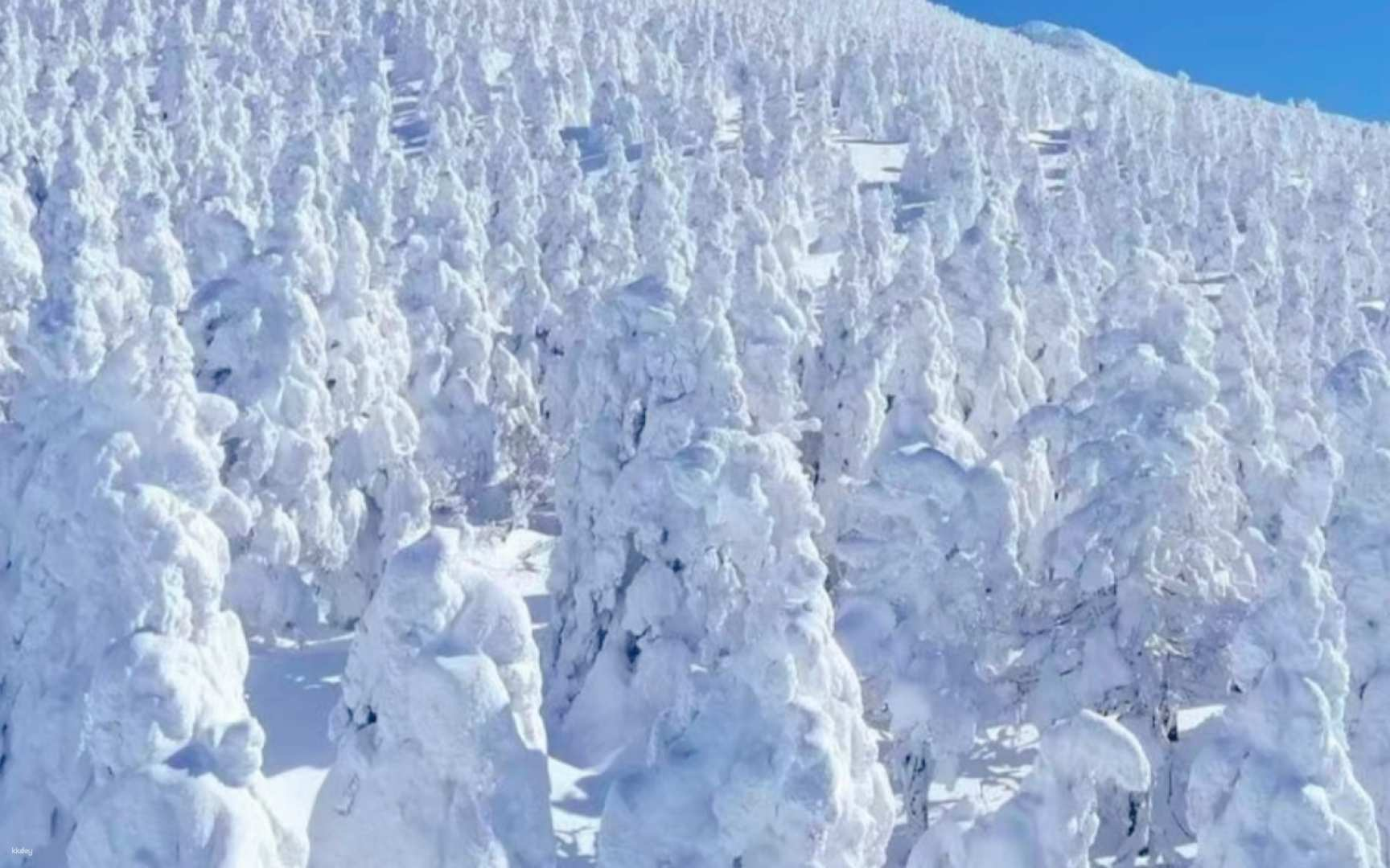 [Winter Skiing Limited: Frozen 2-Day Tour] Ginzan Hot Spring/Ouchijuku & Zao Snow Monsters/Skiing (Choose One) & Zao Fox Village | Departing From Tokyo - Photo 1 of 10